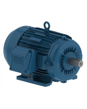 00736ET3E184T-W22 WEG AC Motor