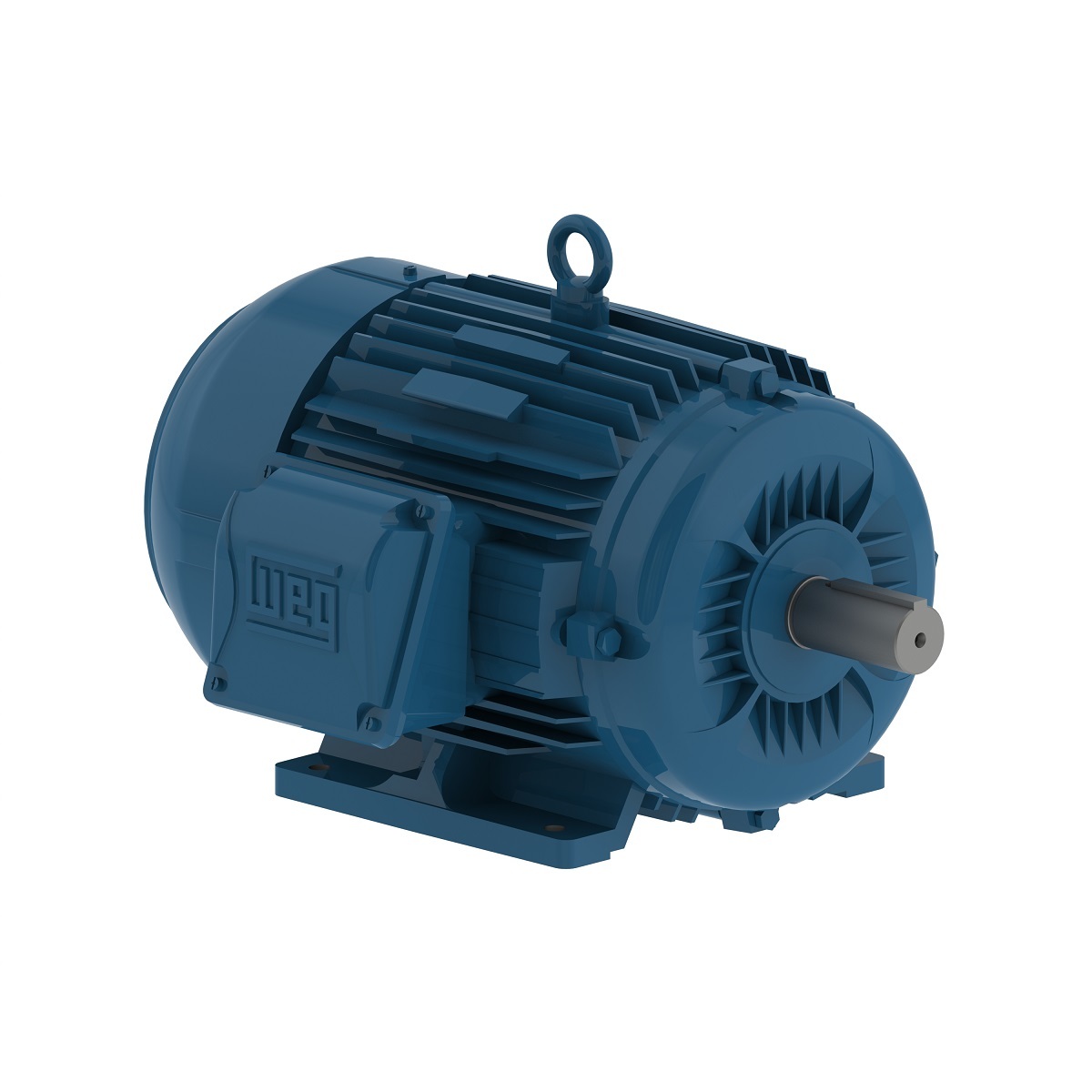 00736ET3E184T-W22 WEG AC Motor
