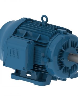 02009EP3E286T-W22 WEG AC Motor