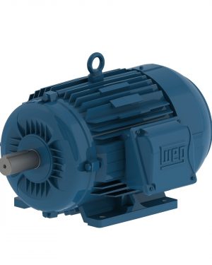 00518ET3Y132S-W22 WEG AC Motor