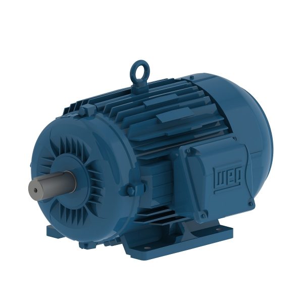 00512ET3E132M/L-W22 WEG AC Motor
