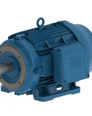 05018ET3E326TSCF2-W2 WEG AC Motor