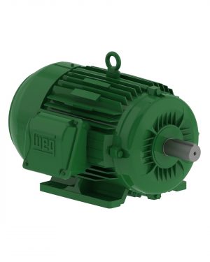 00336EG3E182T-W22 WEG AC Motor