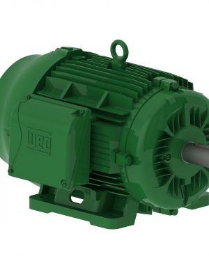 03036EG3E286TS-W22 WEG AC Motor