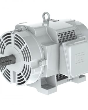 11829385 WEG AC Motor