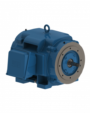 WEG Electric Corp - AC Motors - Previous Generation