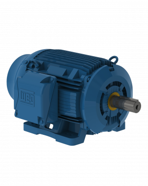 WEG Electric Corp - AC Motors - Single Phase & 3 Phase